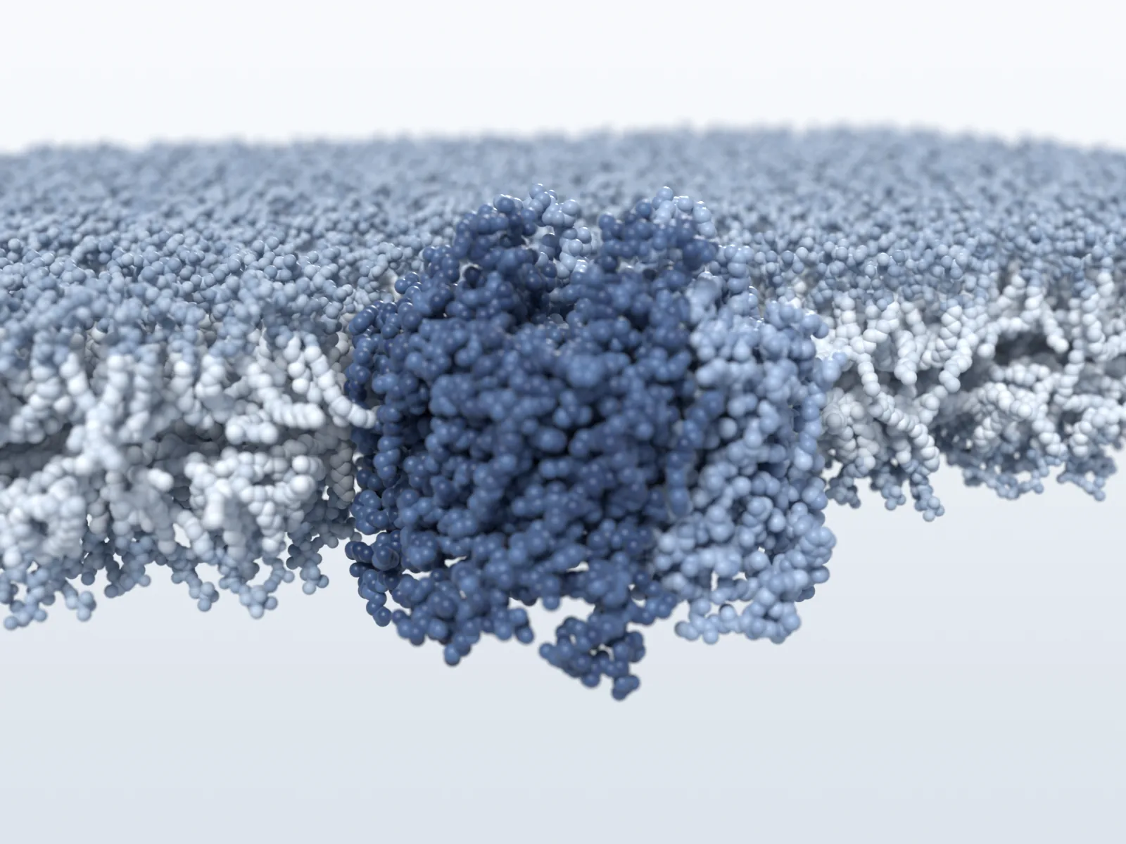 A navy and pale-blue protein tetramer standing in a lipid bilayer that is cut away in front.