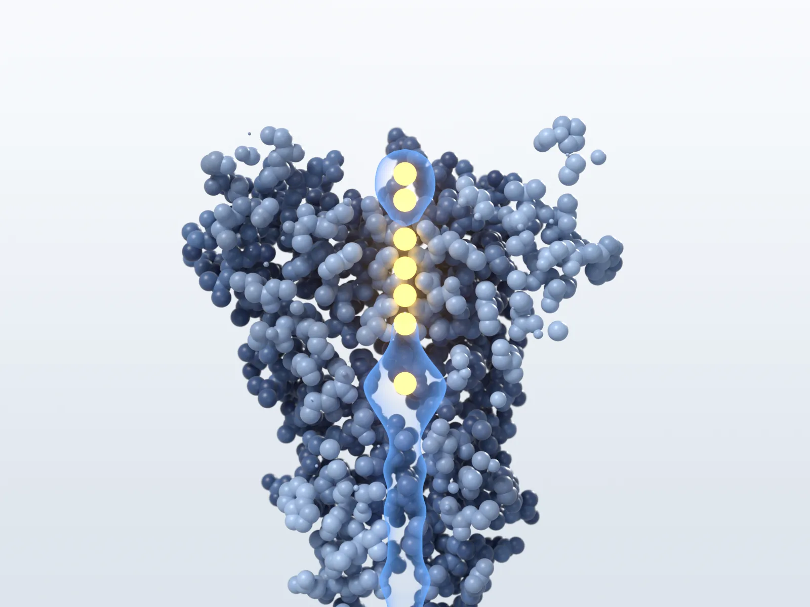 A sectioned channel with a translucent blue pore running through it and amber potassium ions stacked in the filter.